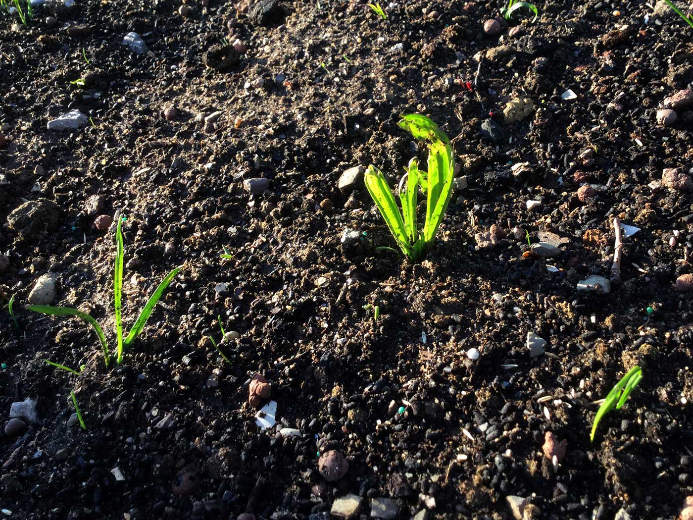 Unsere Winterangebote